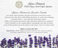 Organic Lavender Sachets - 12 Bags