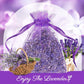 Organic Lavender Sachets - 12 Bags