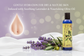 Rehydrating Olive Oil Cleanser Banner